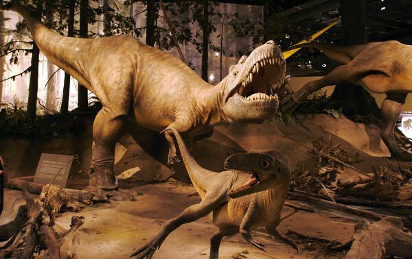 Albertosaurus models, Royal Tyrell Museum